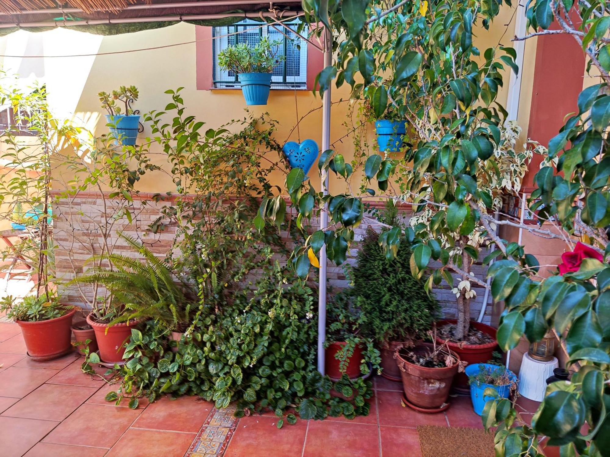 מאיירנה דל אלחראפה Apartamento Cool Garden מראה חיצוני תמונה