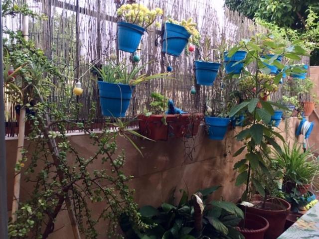 מאיירנה דל אלחראפה Apartamento Cool Garden מראה חיצוני תמונה