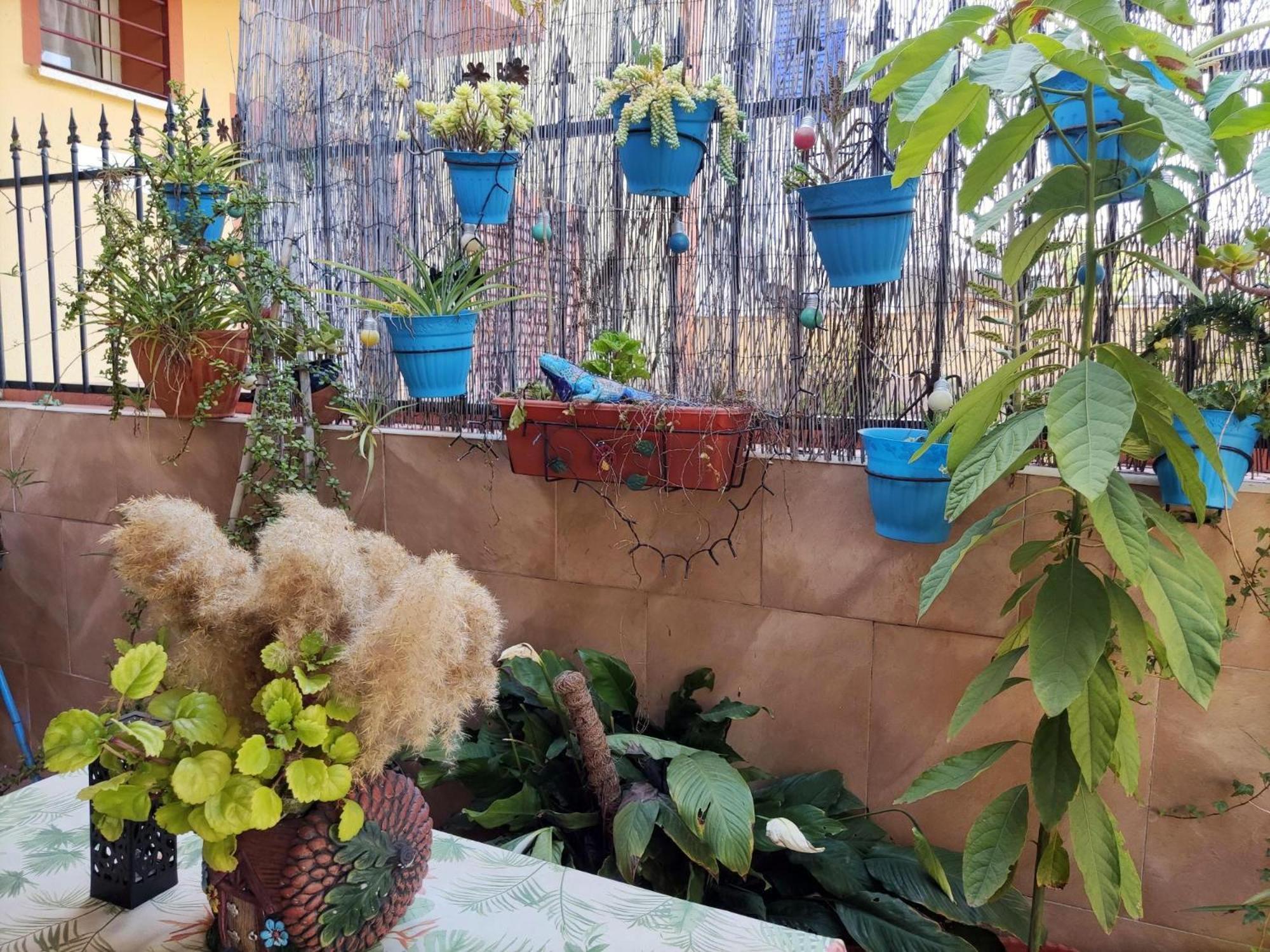 מאיירנה דל אלחראפה Apartamento Cool Garden מראה חיצוני תמונה